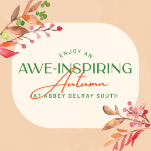Pastel colored twigs representing fall with text Enjoy An Awe-Inspiring Autumn at Abbey Delray South